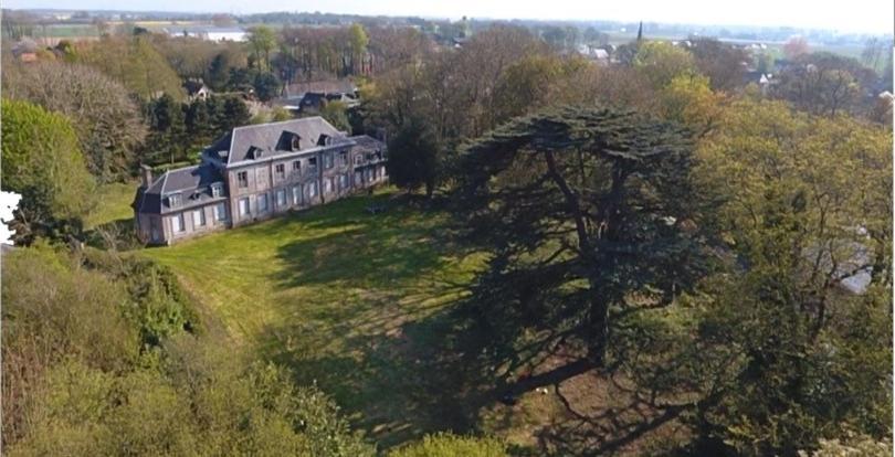 Les gîtes du château du cèdre Manneville-ès-Plains Extérieur photo